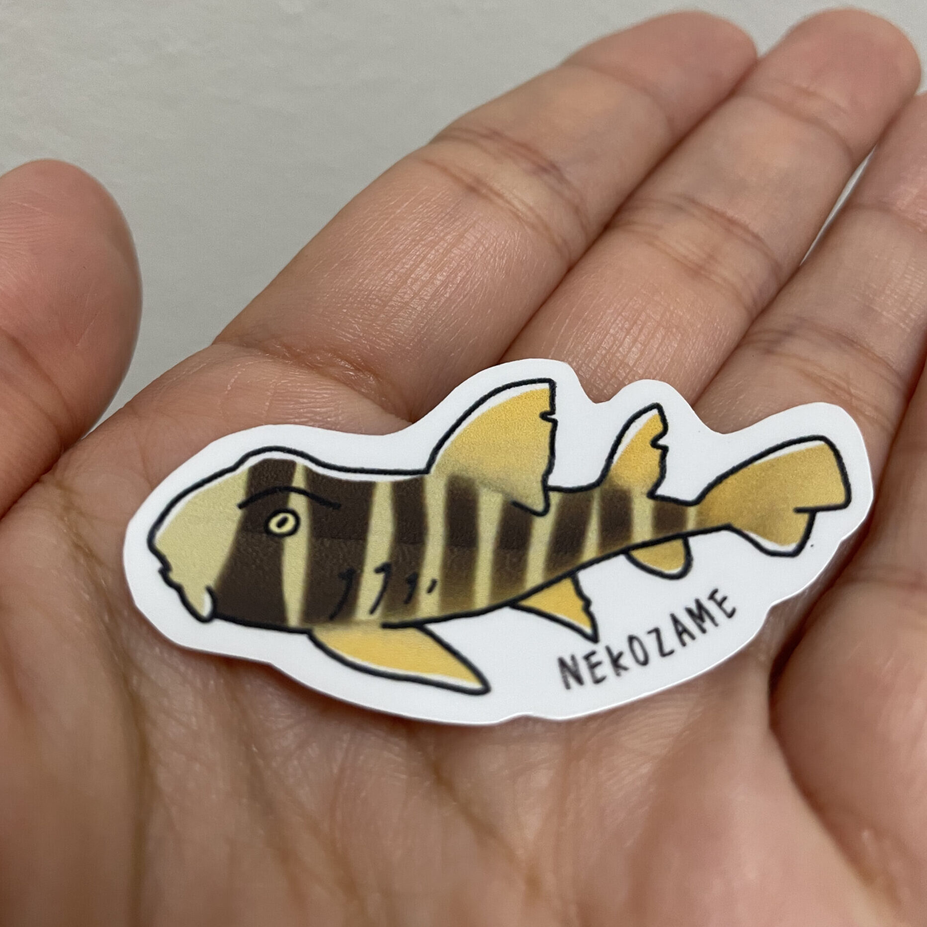 猫の日配布ネコザメステッカー｜海洋楽部