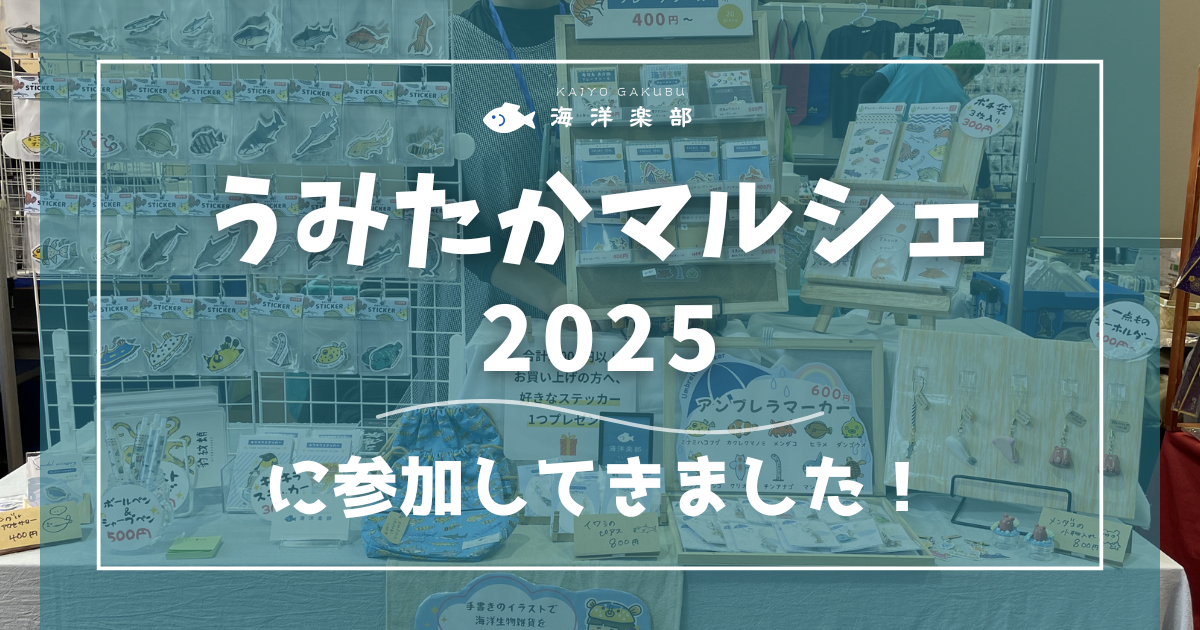 うみたかマルシェ2025に参加してきました｜海洋楽部
